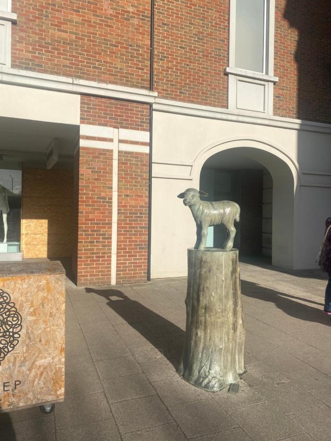 The Most Central Apartment In Canterbury Stunning Interiors, Fully Equipped, City Views And Free Wifi! Екстериор снимка